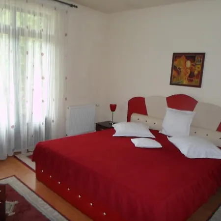 Pensiunea Speranta 4* Sovata