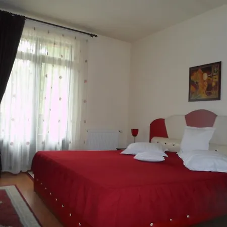 Maison d'hôtes Pensiunea Speranta 4*