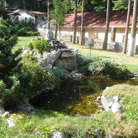 Maison d'hôtes Pensiunea Speranta Sovata